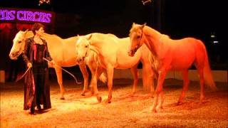 Zippos Circus Gold 2012 in 8 minutes [upl. by Alyhc]