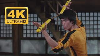 Game Of Death Death Tower Scene The Only 11 Minutes Of Bruce Lee That Made It To The Final Cut 4K [upl. by Inuat]