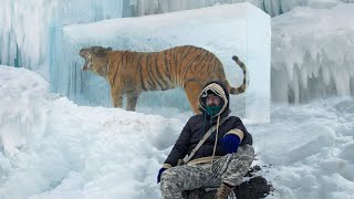 10 Bizarre Creatures Found Completely Frozen In Ice [upl. by Nuahsed]