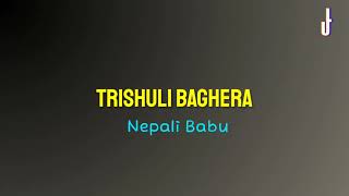 Trishuli Bagera Lyrics  Lyrical Universe [upl. by Leumhs130]