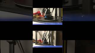 FLSUN Q5 3D PRINTING TIME LAPSE [upl. by Binette]