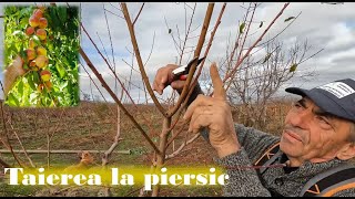 Tăierea la piersic [upl. by Cristal]