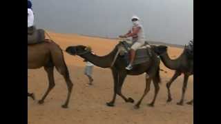 DESERTO DEL MAROCCO VIAGGIO CON CAMMELLI [upl. by Opal]