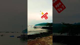 Ada penampakan makhluk aneh tertangkap kamera shortvideo [upl. by Yellhsa]