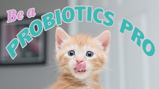 Probiotics for Kittens Be a Probiotics PRO [upl. by Elspeth]