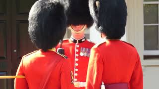 Nijmegen Company Grenadier Guards [upl. by Trixi]