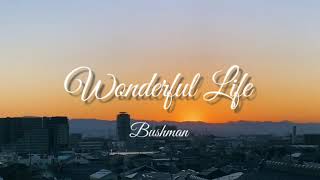 ブッシュマン 「WONDERFUL LIFE」フルバージョンMV [upl. by Cowen356]