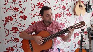 🎸 Marian Barbieru  Cant Aleluia Domnului fingerstyle guitar [upl. by Ailama]