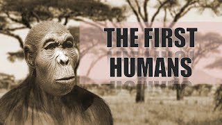 The First Humans  Homo Habilis [upl. by Eiuqnom808]