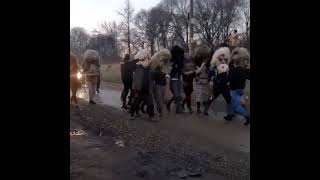 Datini obiceiuri și traditii de Anul Nou comănești traditii joculursului tradition capra [upl. by Mahoney474]