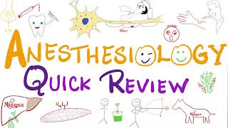 All Anesthesiology in 13 minutes  Anesthesiology  Quick Review [upl. by Akeret169]