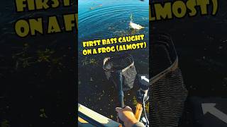 Ep 05  Spring TOPWATER Fishing Action  Roosevelt Lake AZ shorts fishing kayakfishing [upl. by Yren]