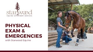 Equine Physical Exam and Emergencies  Horsey Hour with Starwood Equine [upl. by Theressa]