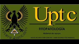 RECONOCIMIENTO DE NEMATODOS FITOPATÓGENOS [upl. by Ydner]