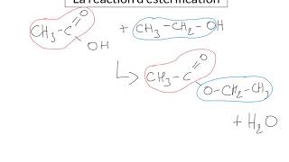 La réaction desterification [upl. by Ardnaid]