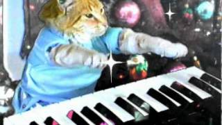 Play Him Off Keyboard Cat  CHRISTMAS VERSION [upl. by Ttelrahc]