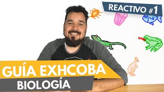 Guía EXHCOBA resuelta  Reactivo 1  BIOLOGÍA  Ejercicios de repaso [upl. by Moya]