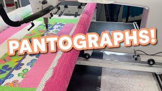 Quilting with Pantographs  StepbyStep Guide for 2024 [upl. by Lanna]