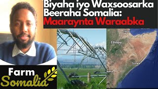 Biyaha iyo Waxsoosaarka Beeraha Somalia Maaraynta Waraabka [upl. by Nicholson]