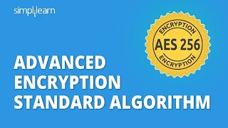 AES  Advanced Encryption Standard Algorithm In Cryptography  AES Explained  Simplilearn [upl. by Nayarb]