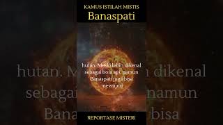 Apa Itu Banaspati Ini Penjelasannya horror kisahmisterius kisah gaib misterimalam misteri [upl. by Ttegirb]