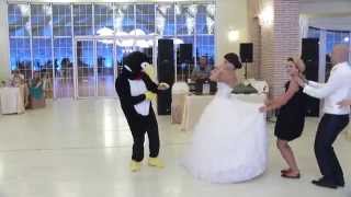 La danse du pingouin  Pinguin dance HD [upl. by Noerb]