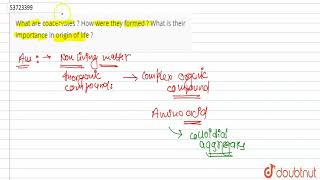 What are coacervates  How were they formed  What is their importance in origin of life   12 [upl. by Talbott]