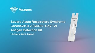 Vazyme SARS–CoV2 Antigen Detection Kit Saliva Operation Flow [upl. by Dumm]