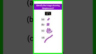 Quiz15  Bacterial Identification  microbiology bacteria shorts basicappliedmicrobiology [upl. by Perlie]