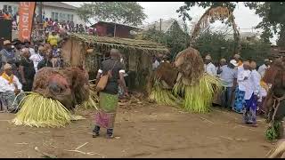 The Elephant Dance of Fako Division the Malley dance [upl. by Nyrroc]