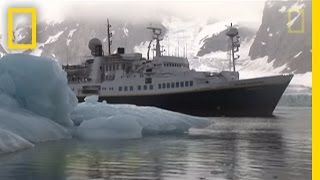 Killer Whales vs Minke Whale  National Geographic [upl. by Yajeet]