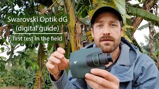 Testing the Swarovski Optik dG digitalguide and Merlin Photo ID app [upl. by Vallonia]