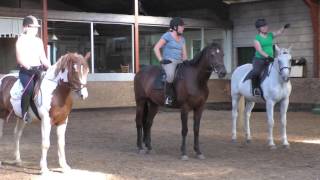 Paardensportcentrum De Dragonder [upl. by Gardner]