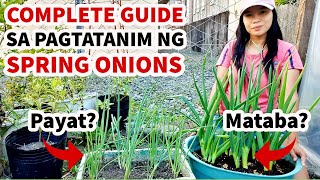 How to Grow Spring Onions from Kitchen Scraps – Easy DIY Gardening Hack [upl. by Ynwat733]