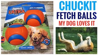 MY DOG LOVES Chuckit Ultra Ball Fetch Dog Toy REVIEW [upl. by Ainadi179]