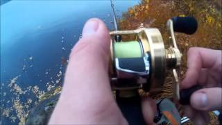 Shimano Calcutta Conquest 100HG CQ100 20142015 First test [upl. by Nandor272]