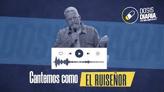 Dosis Diaria Roka  Cantemos como el ruiseñor [upl. by Staw]