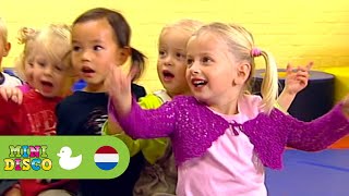 BEREND BOTJE  FRAGMENT  Kinderliedjes  Kinderdagverblijf  Minidisco [upl. by Nojed]