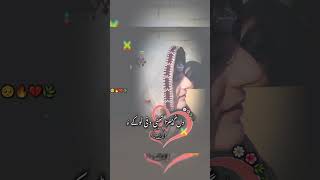 Dr Sami Deen Baloch  Masha Allah 🌹  Balochi Song singersabzalibugti drsamideen balochistan [upl. by Martina]