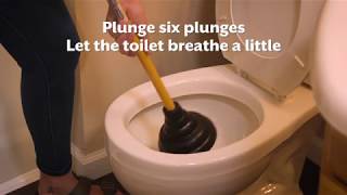 How To Fix A Clogged Toilet [upl. by Cochrane580]