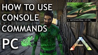 How to Use Console Commands on PC Single Player  Ark Survival Evolved  Cheats [upl. by Aika696]