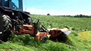 Mowing for Silage with MF 3095 Second Mower arrives [upl. by Reeves]