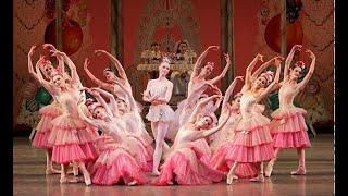 Tchaikovsky  Waltz of the Flowers  The Nutcracker [upl. by Hacissej939]