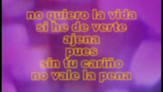 amor gitano karaoke [upl. by Dianne]