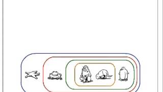 How to Build a Cladogram [upl. by Eisak]