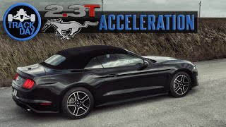 How Fast is the Ecoboost Mustang 23L Premium 310HP  Acceleration Test Review [upl. by Llesram]