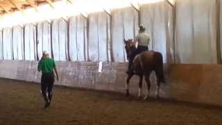 How to Teach a Horse Piaffe Part 8 Half steps under saddle working towards Piaffe [upl. by Ellehsal140]