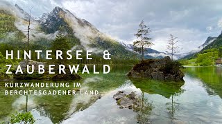 Der wunderschöne Hintersee amp Zauberwald bei Ramsau  Berchtesgadener Land  kleine Wanderung  4K [upl. by Anoyk]