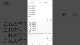 the kore nani kore nani neko korenanineko googletranslate trend [upl. by Nivad]