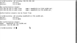 How to use nslookup command in linux [upl. by Alekahs846]